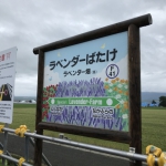 JR北海道　富良野線ラベンダー畑駅で乗務員によるスロープ介助（試行）がスタートします！