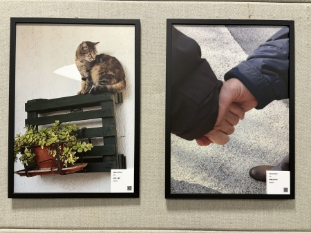 写真④～⑦　展示写真の一部