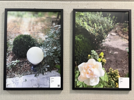 写真④～⑦　展示写真の一部