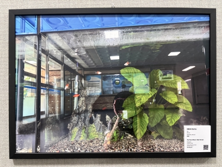 写真④～⑦　展示写真の一部