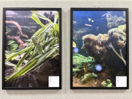 写真④～⑦　展示写真の一部